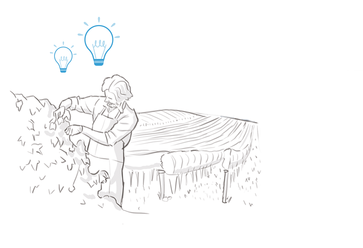illustration1